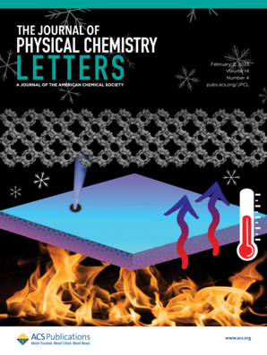 141. Conjugated Polymers in Solution: A Physical Perspective. J. Phy. Chem. Lett. 2023, 14, 927-939.